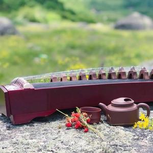 挤牛奶 (古筝独奏)