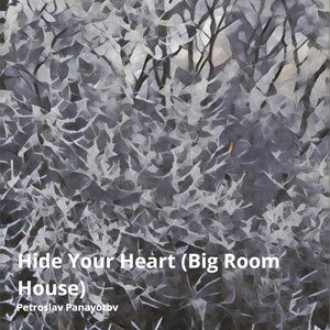 Hide Your Heart (Big Room House)