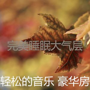 抚慰的咖啡厅回忆