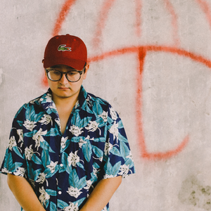 山楂树之恋 (正式版)