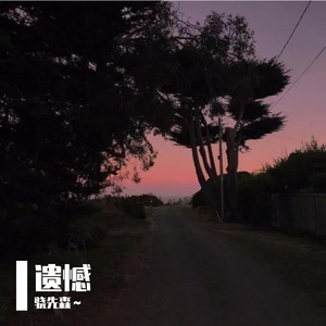 遗憾（翻自 王佳杨）