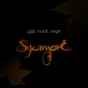 Sycamore