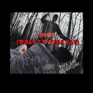 WIWS (What I Wanna Say)