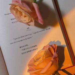 还没（《心局》主题曲翻唱）