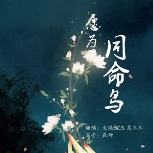 愿为同命鸟（自编和声伴奏）