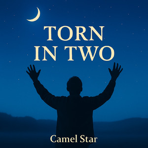 引き裂かれた心 (引き裂かれた心 Remix)