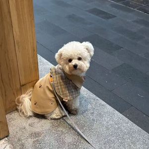 伤口开出的花朵