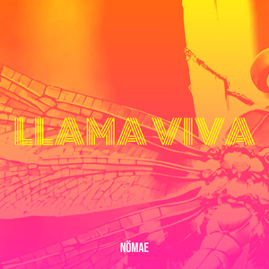 Llama Viva