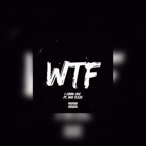 Wtf I Look Like Remix (feat. Big Cezze)