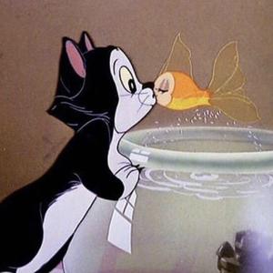 白马骑士（Prod by Red killer）