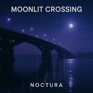 Moonlit Crossing