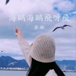 海鸥海鸥飞呀飞