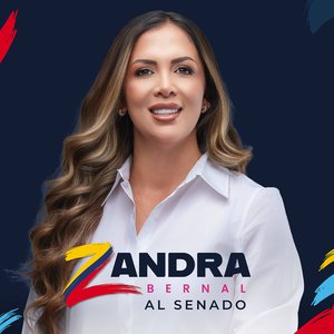 Al Senado