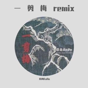 费玉清-【FREE】一剪梅（雪花飘飘 北风萧萧）（鲜肉KoHo remix）