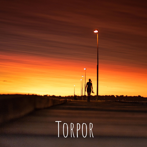 Torpor