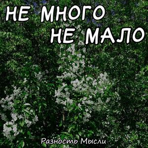 Алкоголь