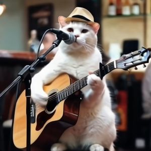 《想见你想见你想见你》（cover张杰）