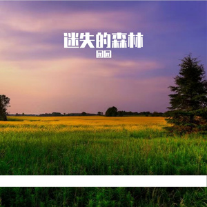迷失的森林