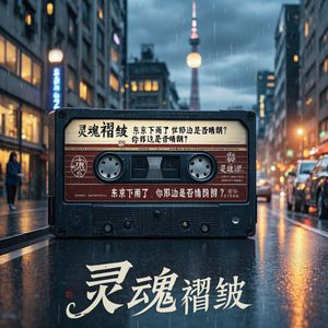 灵魂褶皱