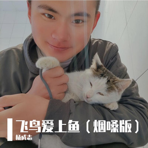 飞鸟爱上了鱼（烟嗓版）