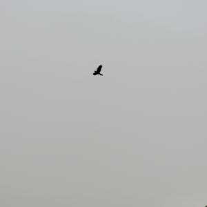 漠河舞厅（cover）