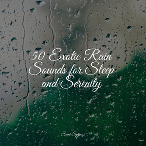 Rain, Vegetation, Wood, Heavy Wind