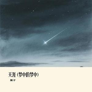 天涯  (梦中的梦中) (Cover 李雨婷)