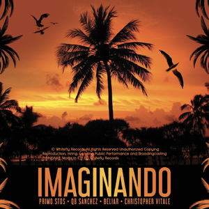Imaginando