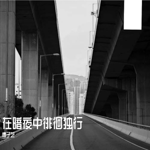 在暗夜中徘徊独行