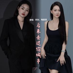 后来去过你城市 (现场)