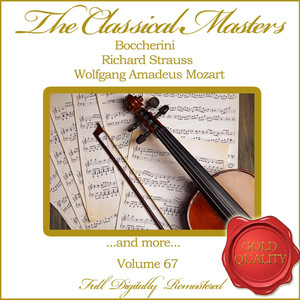 Quartet for Flute and Stings No. 1 in D Major, KV 285: III. Rondo - Allegretto