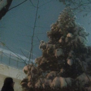 FLOWER（prod.by NeonMusic）