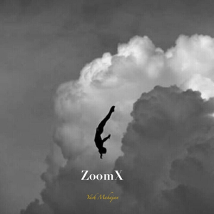 ZoomX