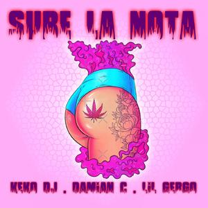 Sube la nota (feat. Keko Dj & Lil gergo) (Radio Edit)