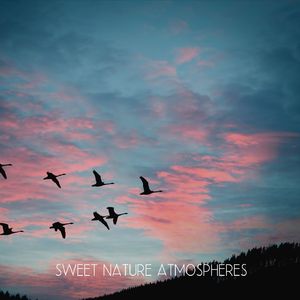 Forest Ambience Active (Boost Your Aura - Attract Positive Energy)