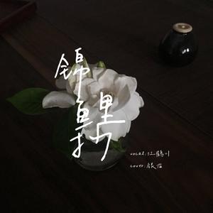 锦鲤抄（翻自 银临）
