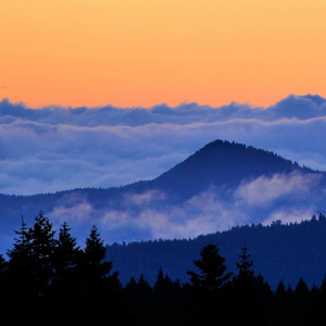 따듯한 자장가 (수면)