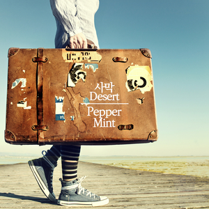 사막 (feat. 명다원)