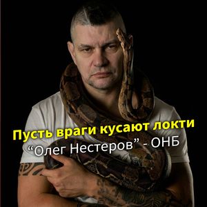 Пусть враги кусают локти