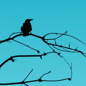 Антидепрессант