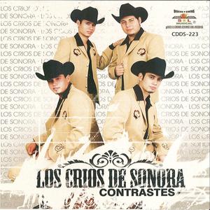 Donde Cayo La Avioneta