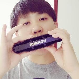 贝加尔湖畔-口琴版