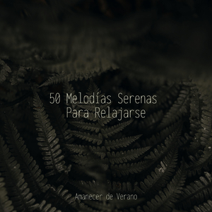 La Wanderlust de las Alas del Crono