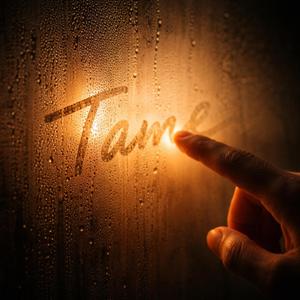 บทเรียน - Thegunp | Official Audio