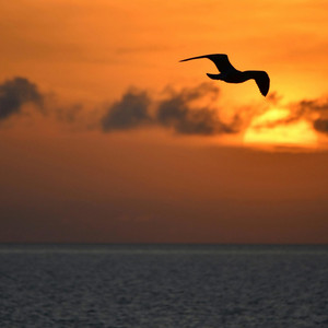 赤い靴 - 高音質ハーモニカ＆ピアノ