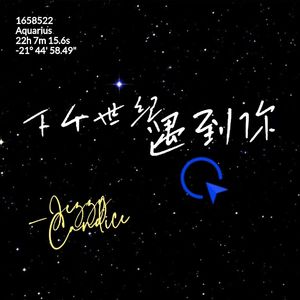 下个世纪遇到你