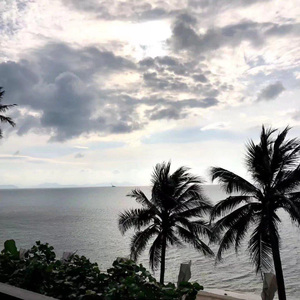 Sia-Chandelier（Tucci / Besokuse remix）