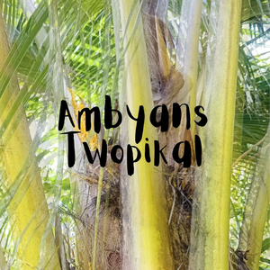 Ambyans Twopikal