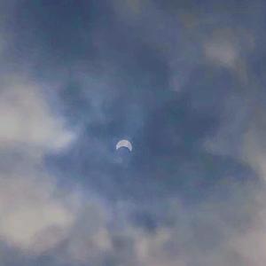 我们羞于表达的感情（翻自 大张伟/彭磊）