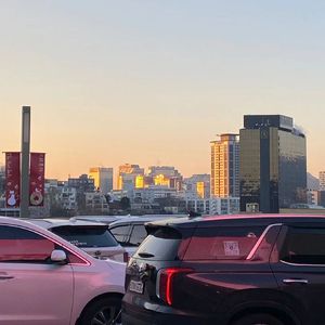 我最近总是梦见你